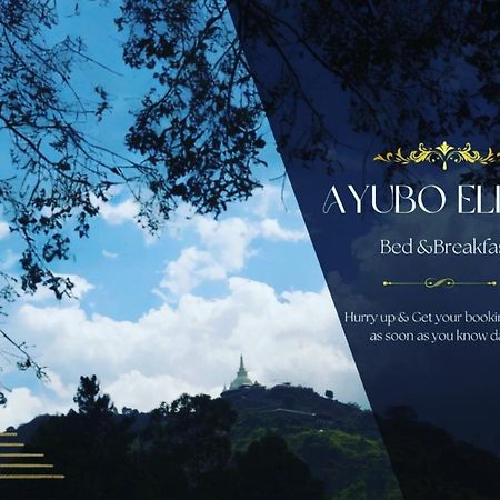 Ayubo Ella - Bed & Breakfast Екстер'єр фото