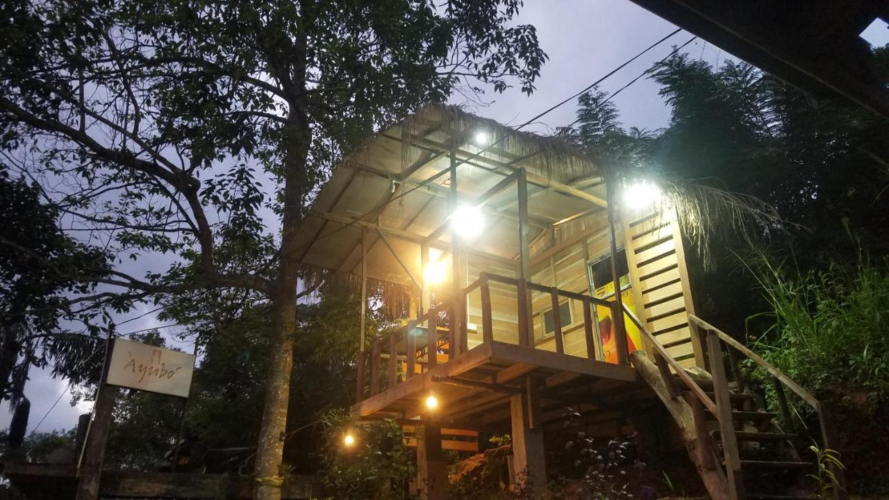 Ayubo Ella - Bed & Breakfast Екстер'єр фото