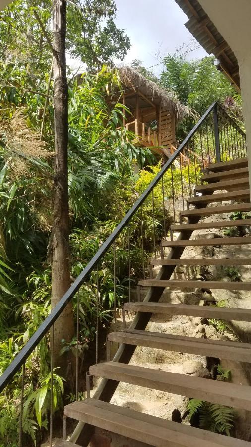 Ayubo Ella - Bed & Breakfast Екстер'єр фото